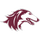 Southern Illinois Salukis